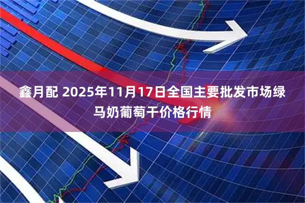 鑫月配 2025年11月17日全国主要批发市场绿马奶葡萄干价格行情