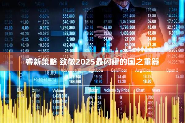 睿新策略 致敬2025最闪耀的国之重器