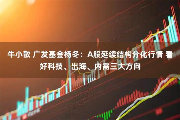 牛小散 广发基金杨冬：A股延续结构分化行情 看好科技、出海、内需三大方向