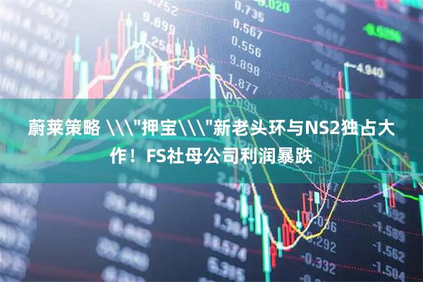 蔚莱策略 \＂押宝\＂新老头环与NS2独占大作！FS社母公司利润暴跌